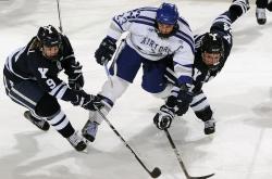 包含亚运会最新形势：山东泰山高居榜首，广东男篮强势追赶，冠军归属成迷的词条